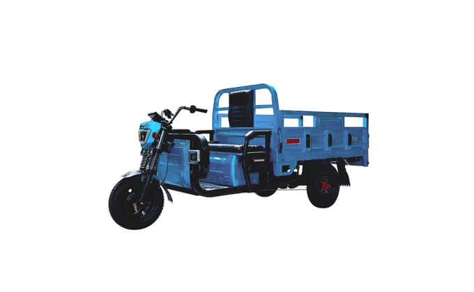 LH160 Electric Tricycle Cargo-3