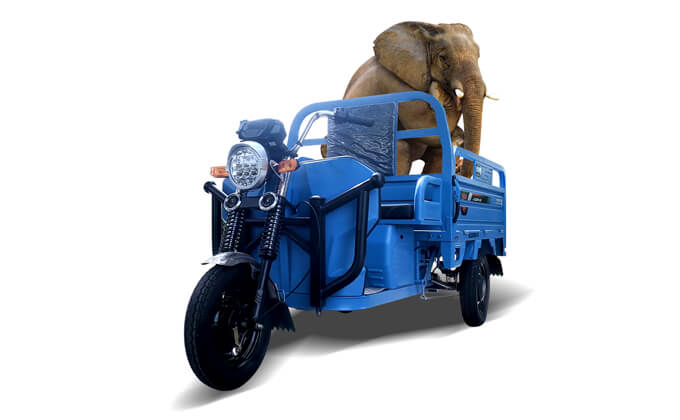 GB150 Electric Tricycle Cargo-3