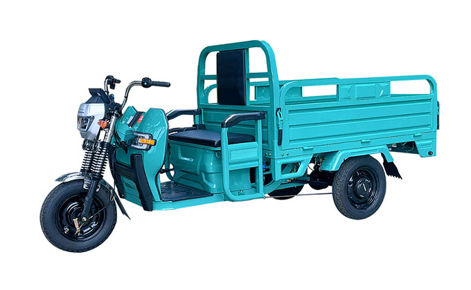 Electric Tricycle Cargo-2