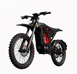 Electric dirt bike